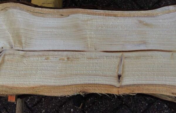 Ruw houten schaaldelen Naaldhout 274 cm lengte, 6 cm dikte - Afbeelding 3